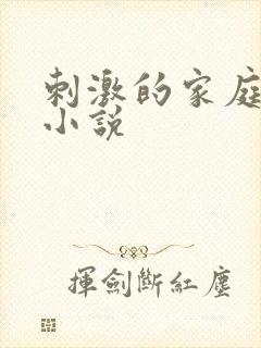 刺激的家庭乱仑小说