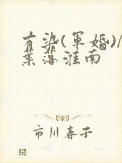 有染(军婚)/叶落淮南