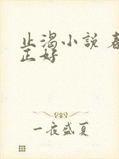 止渴小说 春光正好