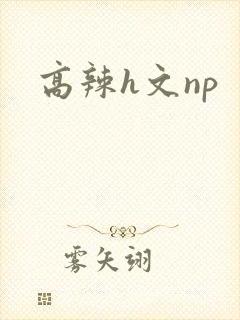 高辣h文np封面