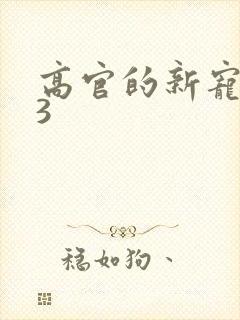 高官的新宠1V3封面