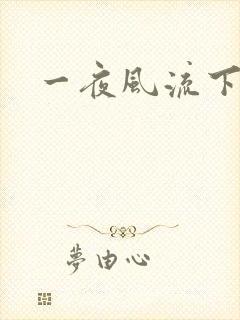 一夜风流下载