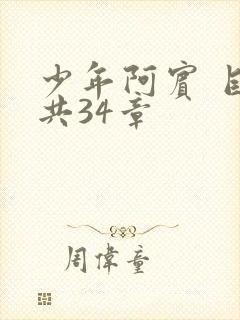 少年阿宾 目录共34章封面