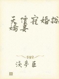 天价宠婚总裁小娇妻