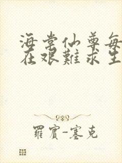 海棠仙尊每天都在艰难求生封面