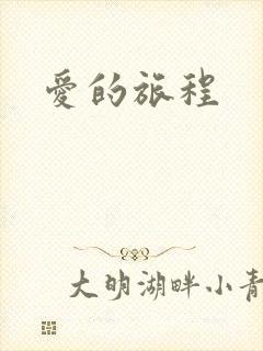 爱的旅程