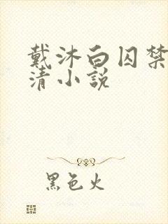 戴沐白囚禁朱竹清小说