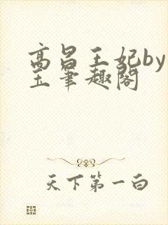 高昌王妃by黛玉笔趣阁