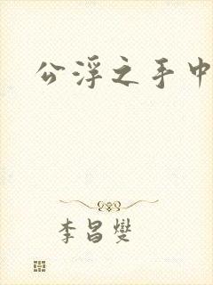 公浮之手中字5封面