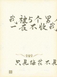 我被5个男人躁一夜不收我怎么办封面