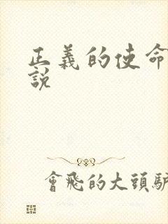 正义的使命 小说封面