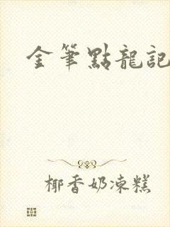 金笔点龙记封面