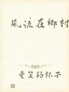风流在乡村封面