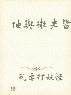 他与微光皆倾城封面