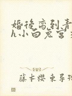 婚后脔到青梅哭h小白兔宫交h