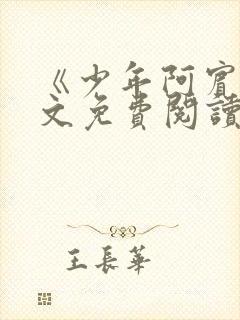 《少年阿宾》全文免费阅读