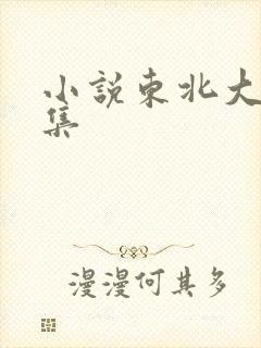 小说东北大炕全集