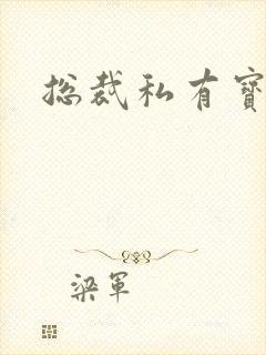 总裁私有宝贝封面