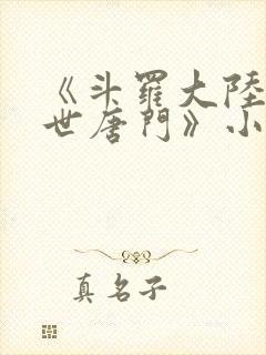 《斗罗大陆2绝世唐门》小说封面