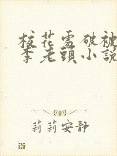 校花处破被灌满李老头小说