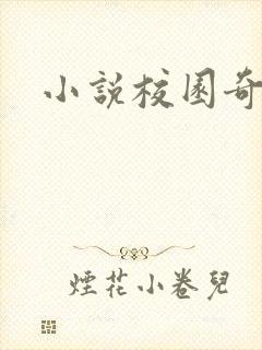 小说校园奇侠封面