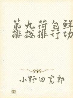 第九荷包鲜辣肉排总排行功能介绍封面