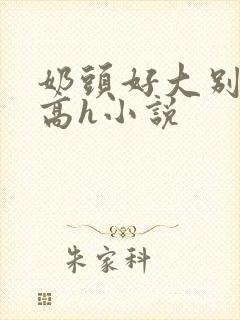 奶头好大别吸了高h小说