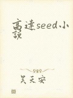 高达seed小说