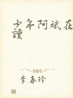 少年阿斌在线阅读