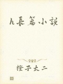 h长篇小说