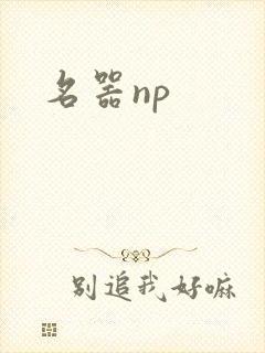 名器np