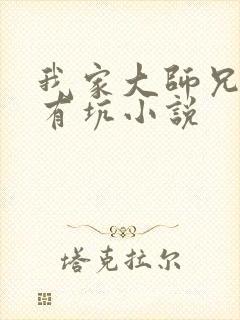 我家大师兄脑子有坑小说