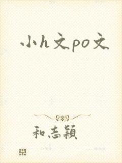 小h文po文