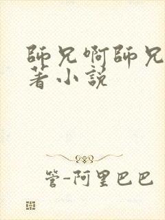 师兄啊师兄的原著小说封面