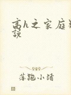 高h之家庭类小说