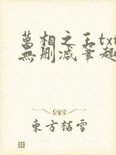 万相之王txt无删减笔趣阁封面