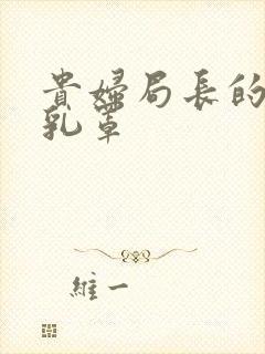 贵妇局长的蕾丝乳罩