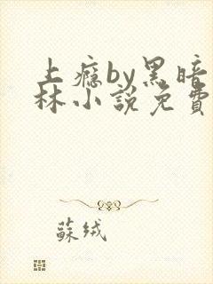 上瘾by黑暗森林小说免费