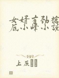 女婿有劲枪枪到底小峰小说