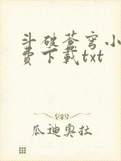 斗破苍穹小说免费下载txt封面