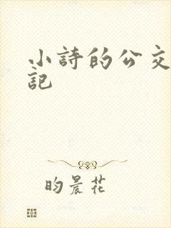 小诗的公交车日记封面