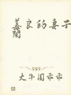 善良的妻子王晓兰