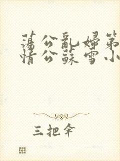 荡公乱妇第1章情公苏雪小说