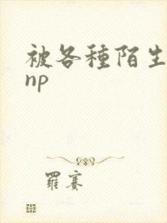 被各种陌生人 np