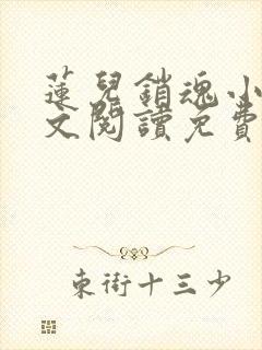 莲儿销魂小说全文阅读免费无弹窗