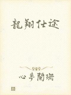 龙翔仕途