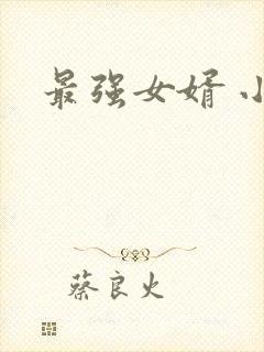 最强女婿 小说
