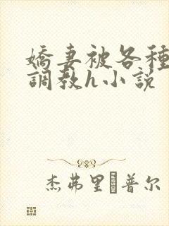 娇妻被各种刑具调教h小说