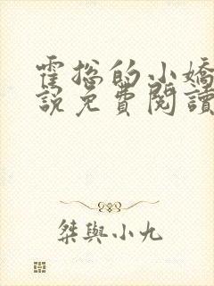 霍总的小娇妻小说免费阅读