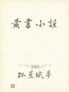 黄书小说